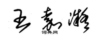 朱錫榮王嘉凝草書個性簽名怎么寫