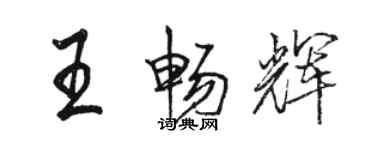 駱恆光王暢輝行書個性簽名怎么寫