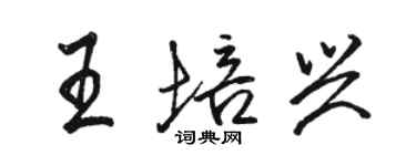 駱恆光王培興行書個性簽名怎么寫