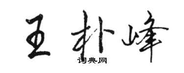 駱恆光王朴峰行書個性簽名怎么寫