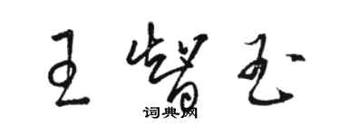 駱恆光王智玉草書個性簽名怎么寫