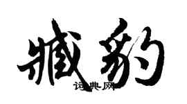 胡問遂臧豹行書個性簽名怎么寫