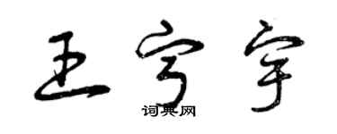 曾慶福王寧宇草書個性簽名怎么寫