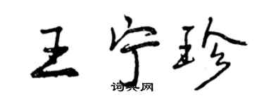 曾慶福王寧珍行書個性簽名怎么寫