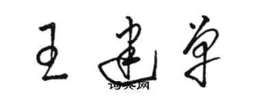 駱恆光王建單草書個性簽名怎么寫