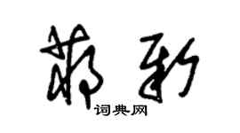 朱錫榮蔣新草書個性簽名怎么寫