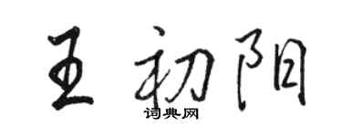 駱恆光王初陽行書個性簽名怎么寫