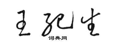 駱恆光王紀生草書個性簽名怎么寫