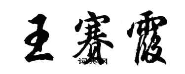 胡問遂王賽霞行書個性簽名怎么寫