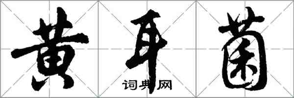 胡問遂黃耳菌行書怎么寫