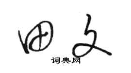 駱恆光田文草書個性簽名怎么寫