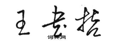 駱恆光王書哲草書個性簽名怎么寫