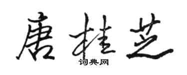 駱恆光唐桂芝行書個性簽名怎么寫