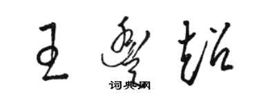 駱恆光王豐超草書個性簽名怎么寫