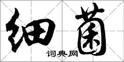 胡問遂細菌行書怎么寫