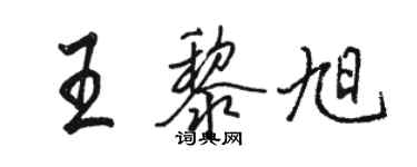 駱恆光王黎旭行書個性簽名怎么寫