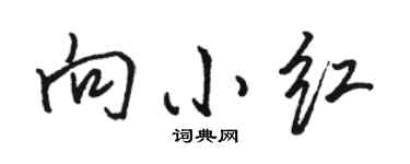駱恆光向小紅行書個性簽名怎么寫