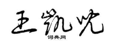 曾慶福王凱兒草書個性簽名怎么寫