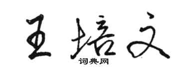 駱恆光王培文行書個性簽名怎么寫