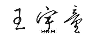 駱恆光王宇童草書個性簽名怎么寫