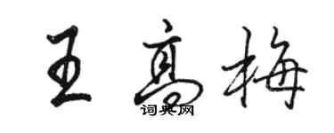 駱恆光王高梅行書個性簽名怎么寫