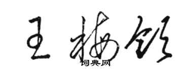 駱恆光王梅領草書個性簽名怎么寫