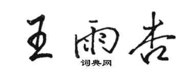 駱恆光王雨杏行書個性簽名怎么寫