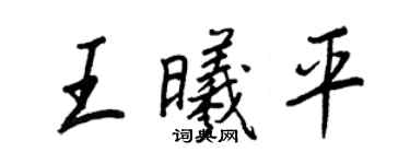王正良王曦平行書個性簽名怎么寫