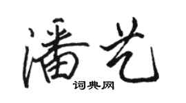 駱恆光潘藝行書個性簽名怎么寫
