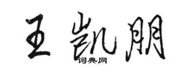 駱恆光王凱朋行書個性簽名怎么寫