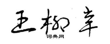 曾慶福王柳辛草書個性簽名怎么寫