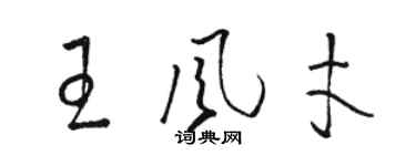 駱恆光王風才草書個性簽名怎么寫