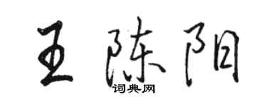 駱恆光王陳陽行書個性簽名怎么寫