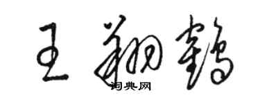 駱恆光王翔鶴草書個性簽名怎么寫