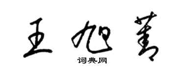 梁錦英王旭菁草書個性簽名怎么寫