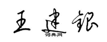 梁錦英王建銀草書個性簽名怎么寫