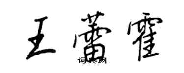 王正良王蕾霍行書個性簽名怎么寫