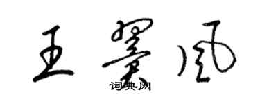 梁錦英王翼風草書個性簽名怎么寫