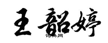 胡問遂王韶婷行書個性簽名怎么寫