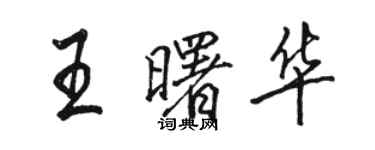 駱恆光王曙華行書個性簽名怎么寫