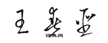 駱恆光王春聖草書個性簽名怎么寫