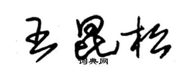 朱錫榮王昆松草書個性簽名怎么寫