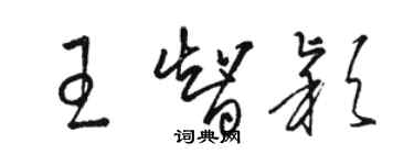 駱恆光王智穎草書個性簽名怎么寫