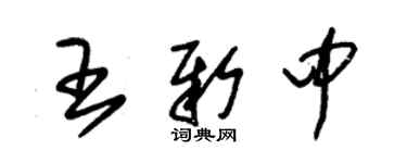 朱錫榮王新中草書個性簽名怎么寫