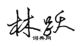 駱恆光林躍行書個性簽名怎么寫