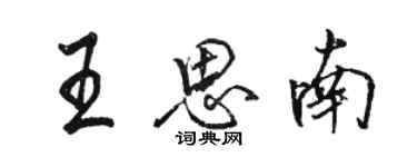 駱恆光王思南行書個性簽名怎么寫