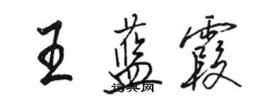 駱恆光王藍霞行書個性簽名怎么寫