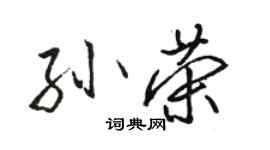 駱恆光孫榮行書個性簽名怎么寫