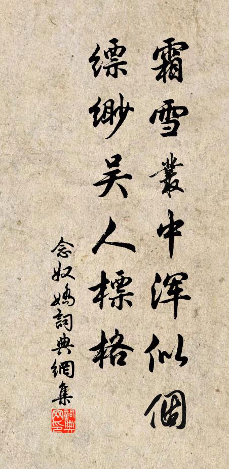 薪拾紛紛葉,茶烹滴滴泉 詩詞名句