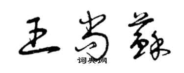 曾慶福王尚蘇草書個性簽名怎么寫